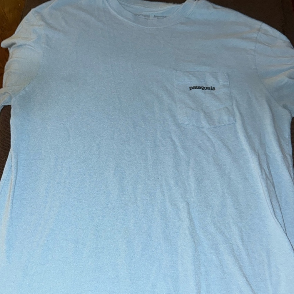 Men’s Patagonia t shirt